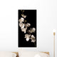 white orchid isolated over black background Wall Mural