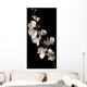 white orchid isolated over black background Wall Mural