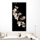 white orchid isolated over black background Wall Mural