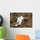 Cattle Skull Wall Mural