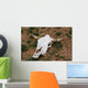 Cattle Skull Wall Mural