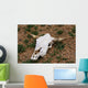 Cattle Skull Wall Mural