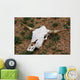 Cattle Skull Wall Mural