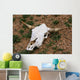 Cattle Skull Wall Mural