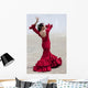 Traditional Woman Spanish Flamenco