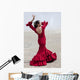 Traditional Woman Spanish Flamenco