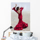 Traditional Woman Spanish Flamenco