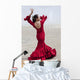 Traditional Woman Spanish Flamenco