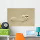 Foot Wall Mural