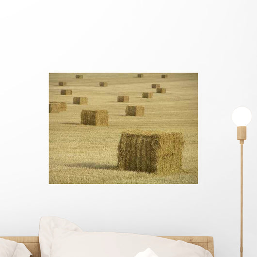 Harvest Wall Decal Design 1