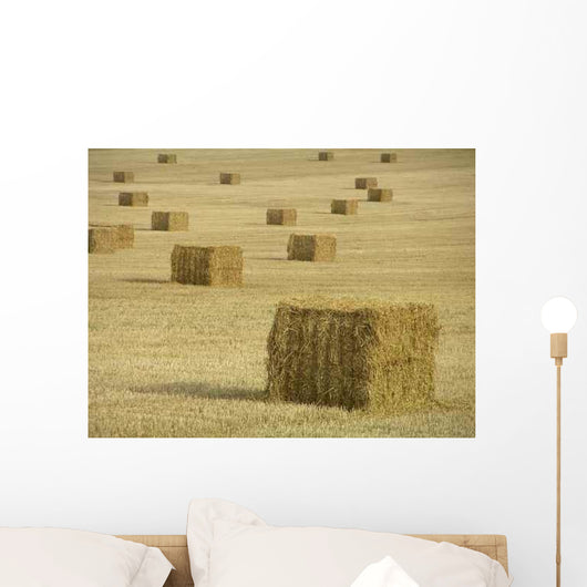 Harvest Wall Decal Design 1