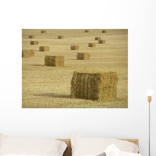 Harvest Wall Decal Design 1