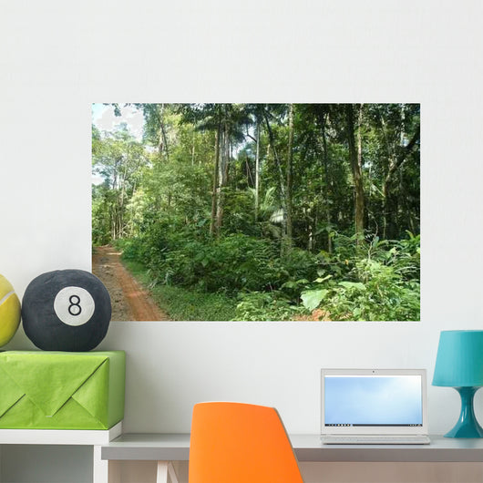 Jungle Trekking Path Wall Decal