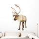 caribou reindeer Wall Decal