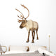 caribou reindeer Wall Decal