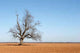 Farm Field Wall Decal