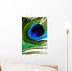 Peacock Feather Wall Mural