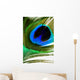 Peacock Feather Wall Mural