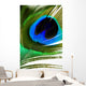 Peacock Feather Wall Mural