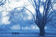 Morning Mist Wall Decal