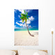 Holiday Paradise