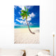 Holiday Paradise