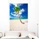 Holiday Paradise