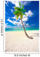Holiday Paradise