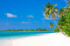 Holiday Paradise Wall Mural