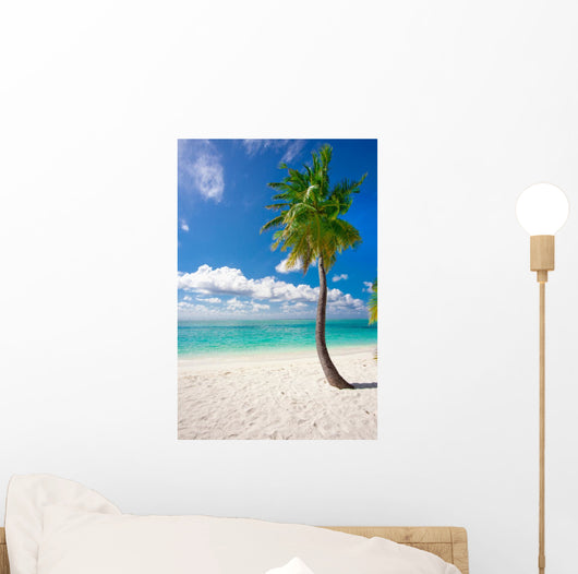 Holiday Paradise
