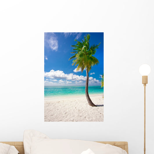 Holiday Paradise