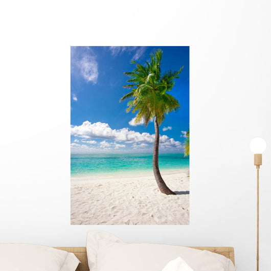 Holiday Paradise