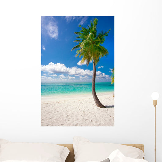 Holiday Paradise