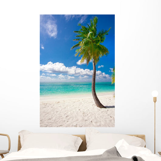 Holiday Paradise