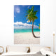 Holiday Paradise