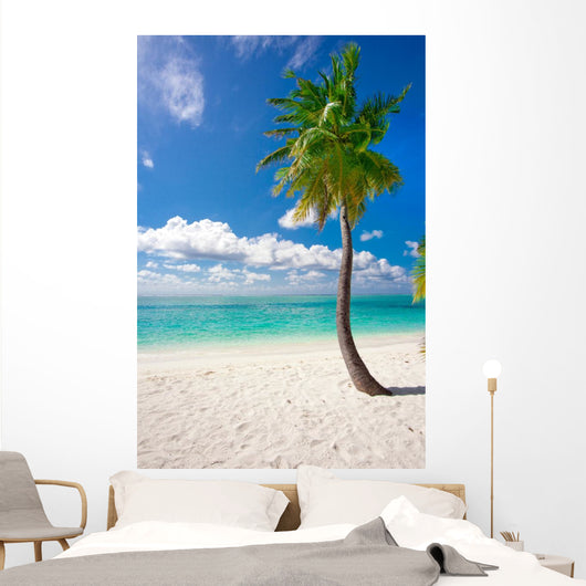 Holiday Paradise