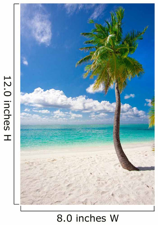Holiday Paradise