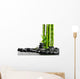Spa concept Wall Mural