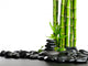 Spa concept Wall Mural