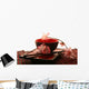 Chinese Sticks Wall Decal