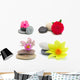 Flowers and stones, isolated on white. Wall Decal