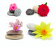 Flowers and stones, isolated on white. Wall Decal