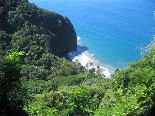 Picture Martinique Wall Decal