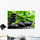 Spa concept Wall Mural