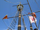Crows Nest