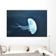 Jellyfish Wall Mural