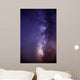 Milky Way Wall Mural