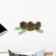 Pine cone (conifer cone) Wall Decal