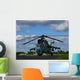 Military Helicopter Wall Mural
