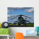 Military Helicopter Wall Mural